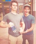 Dylan O'Brien 2026_1