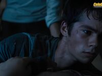 Dylan O'Brien 2026_1