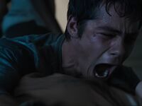 Dylan O'Brien 2026_1
