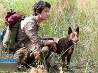Dylan O'Brien 2026_1