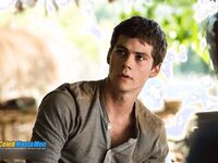 Dylan O'Brien 2026_1