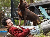 Dylan O'Brien 2026_1