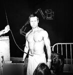 Glen Powell 2026_1