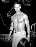 Glen Powell 2026_1