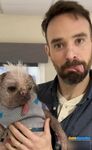 Charlie Cox 2025_1